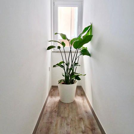 Ljubljana Central Cozy Apartment W Free Parking Luaran gambar